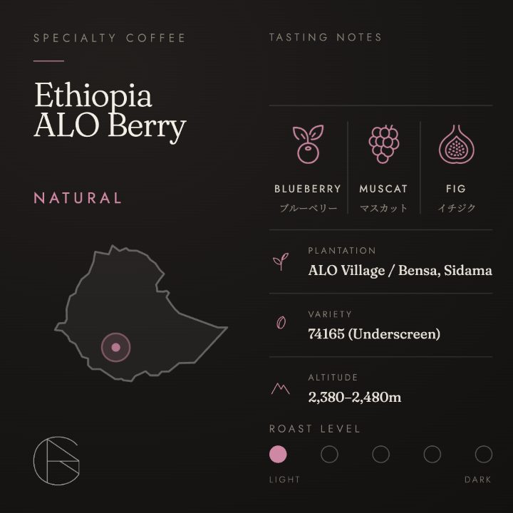 Tamiru Tadesse ALO Berry エチオピア／シダマ州 ベンサ地区 アロ村のコーヒー豆